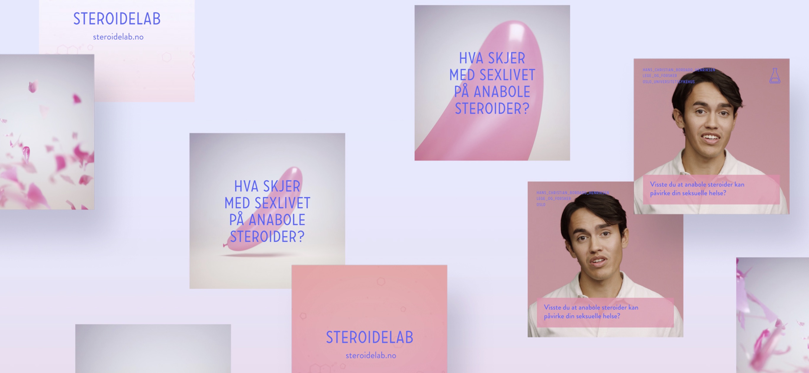 Steroidelab